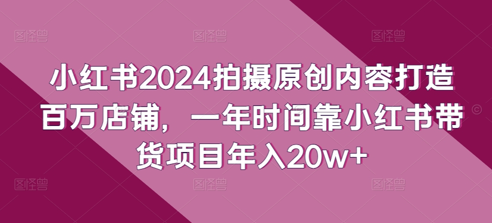 小红书2024拍摄原创内容打造百万店铺，一年时间靠小红书带货项目年入20w+-盛鼎技术
