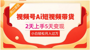 （10807期）2天上手5天变现视频号Ai短视频带货0粉丝0基础小白轻松月入过万-盛鼎技术