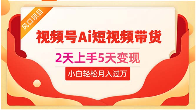 （10807期）2天上手5天变现视频号Ai短视频带货0粉丝0基础小白轻松月入过万-盛鼎技术