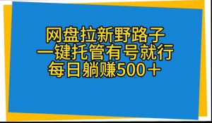（10468期）网盘拉新野路子，一键托管有号就行，全自动代发视频，每日躺赚500＋-盛鼎技术