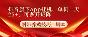 抖音旗下app自动挂机,单机一天收益25+,可多开矩阵-盛鼎技术