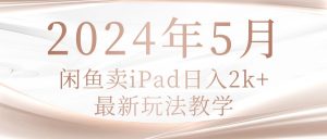 （10459期）2024年5月闲鱼卖ipad日入2k，最新玩法教学-盛鼎技术